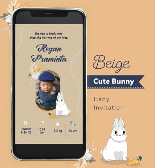 Baby Blue Bunny Announcement