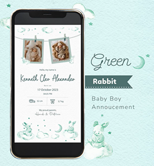 Baby Boy Announcement Green Rabbit Polaroid