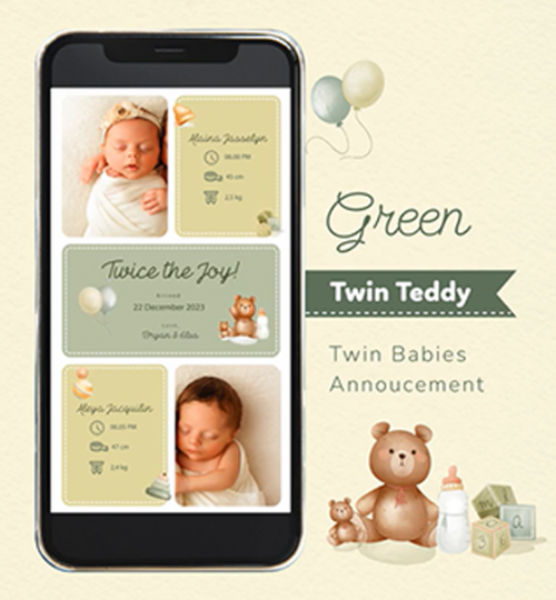 Baby Announcement Video Twin Teddy Bear