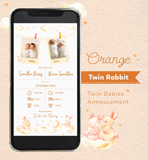 Orange Rabbit Twin Announcement